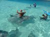 Stachelrochenf&uuml;tterung auf Moorea