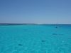 Beveridge Reef