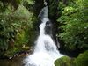 Natur pur!