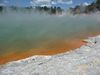Geothermale Landschaft bei Rotorua
