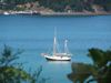 Anima in der Bay of Islands
