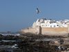 Essaouira, Marokko, Oktober 2008