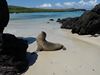 Galapagos, April 2009
