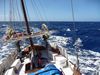 Zwischen Marquesas und Tuamotus, Juni 2009